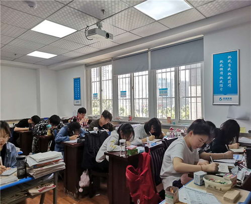 合肥藝術生文化培訓機構 價格合理的文化藝術理想之選